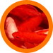 Straight-Tailed Goldfish