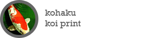 Kohaku koi print